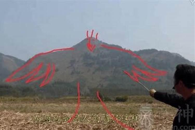 飞凤朝天风水宝地出什么人才