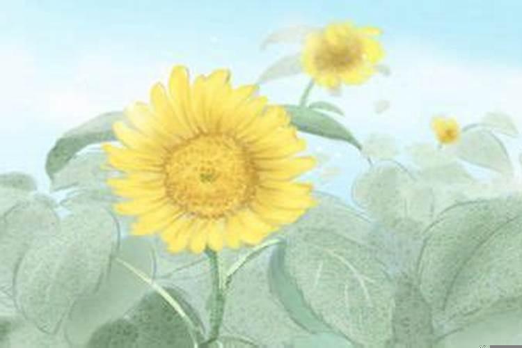 2021年3月哪天属虎