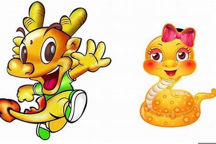 男属龙女属蛇相配吗婚姻