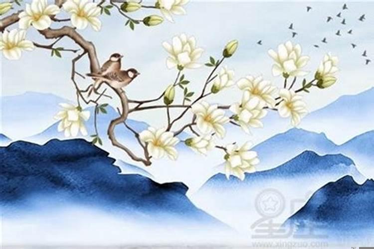 两个属牛的人在牛年结婚好吗