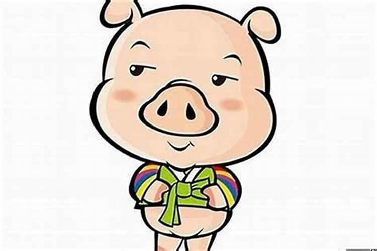 属猪女的和什么属相最配最合适呢