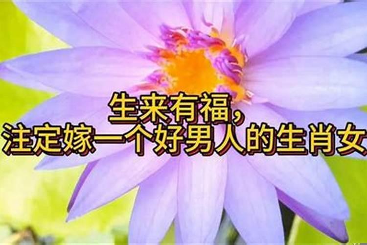 注定嫁好男人的生肖女