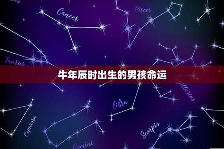 2021属牛生于辰时