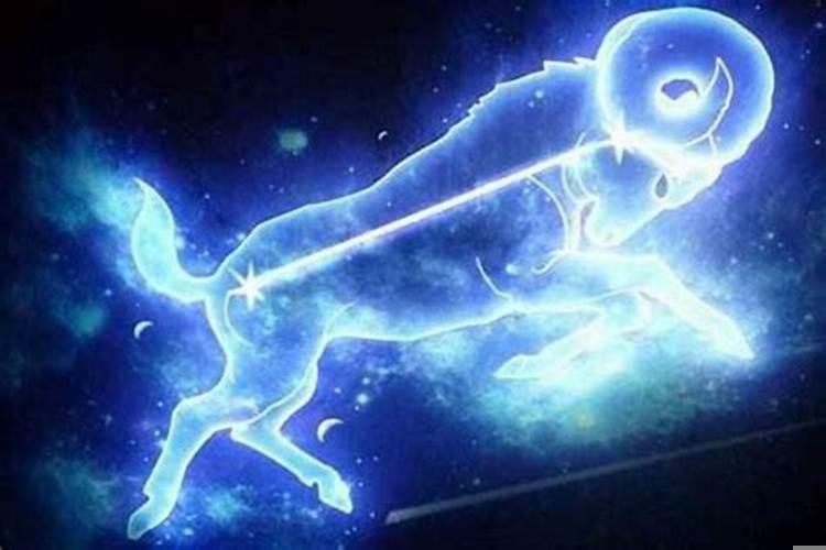 摩羯座的阴暗性格