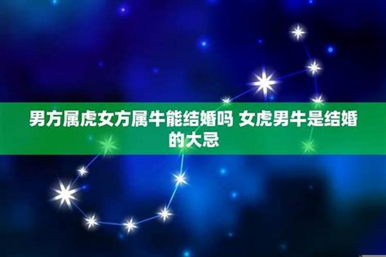 两个属牛的人在牛年结婚好吗