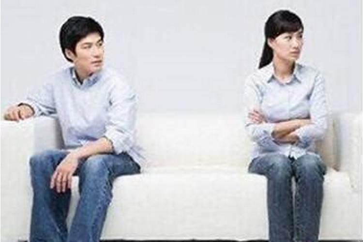 皈依的居士能不能算命