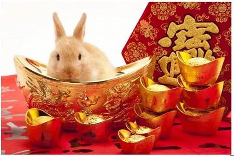 属兔在2025年运势怎么样