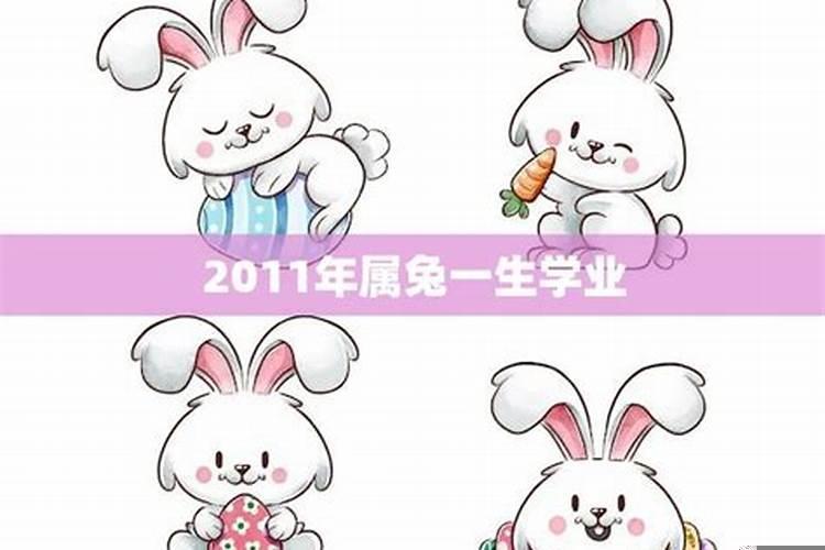 2011年属兔男孩学业