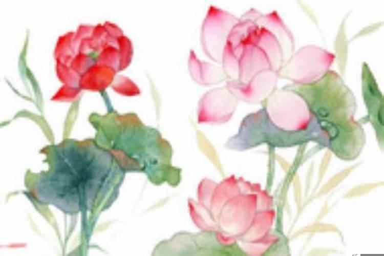 八月初二搬家好吗