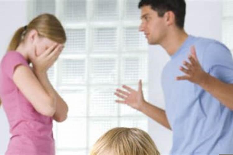 玫瑰花放办公室