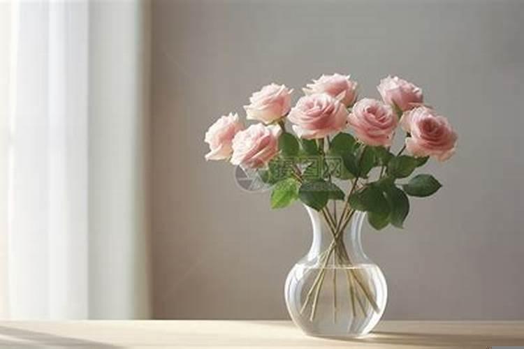 玫瑰花放办公室