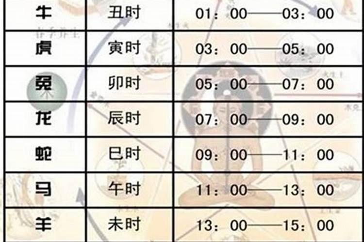 晚上11点到12点是什么时辰