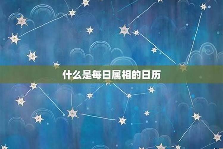 怎么通过日历看每天的属相
