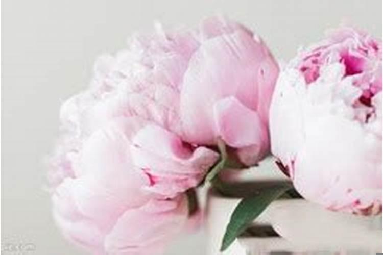 分手看复合算命