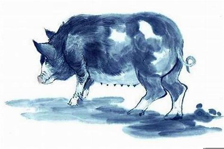 属猪的人在哪一个月出生最好命