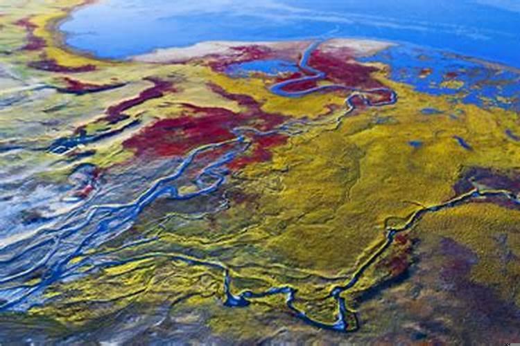 主卧卫生间做淋浴吗