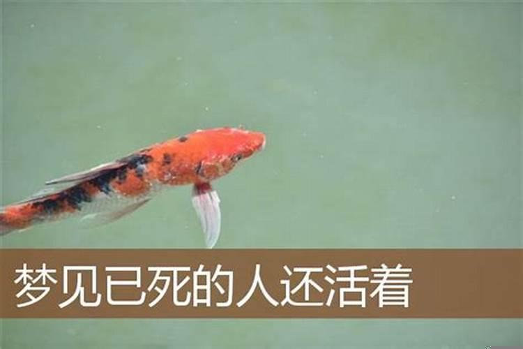 女人梦到做春梦是什么意思