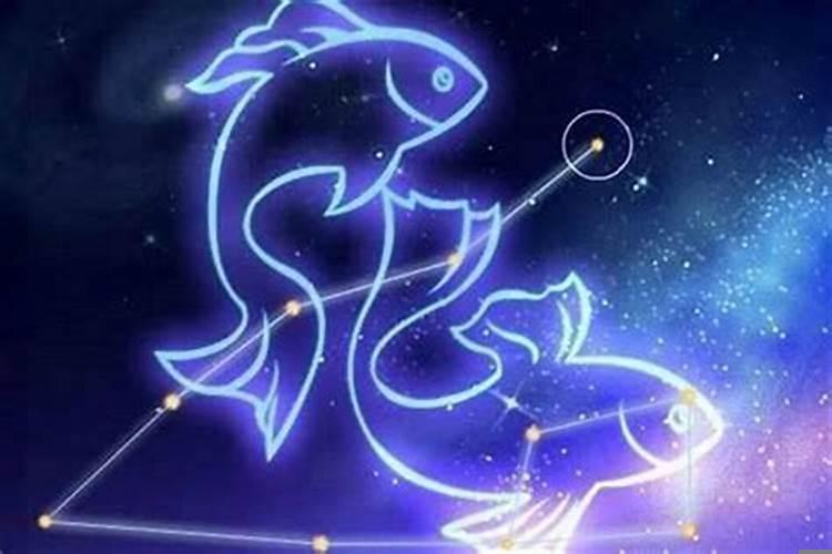 双鱼座跟啥星座最配