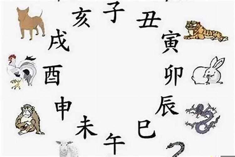 天蝎座和巨蟹座的婚姻好吗女