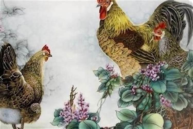 属鸡什么时辰出生最好命运