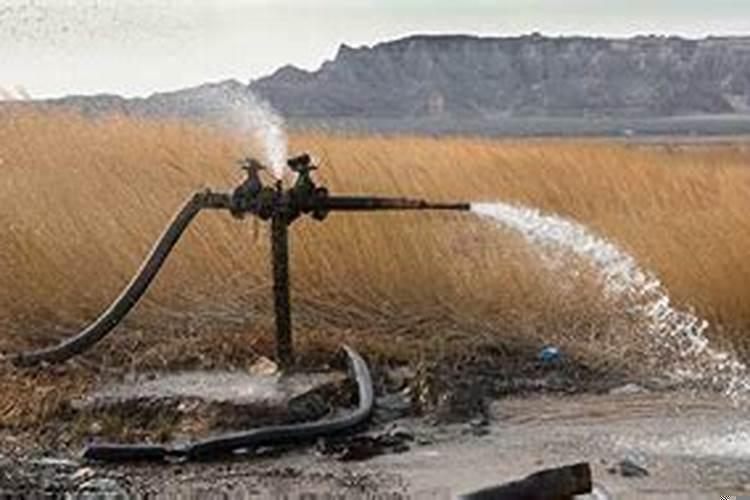 女人梦见井水突然上涨