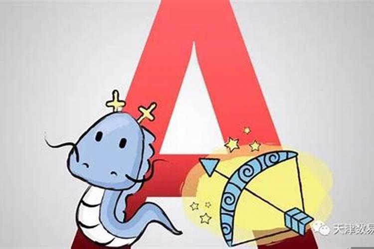 属兔双子座a型血男生