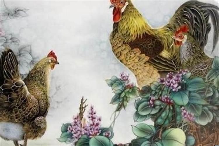 今日属鸡人财运方向