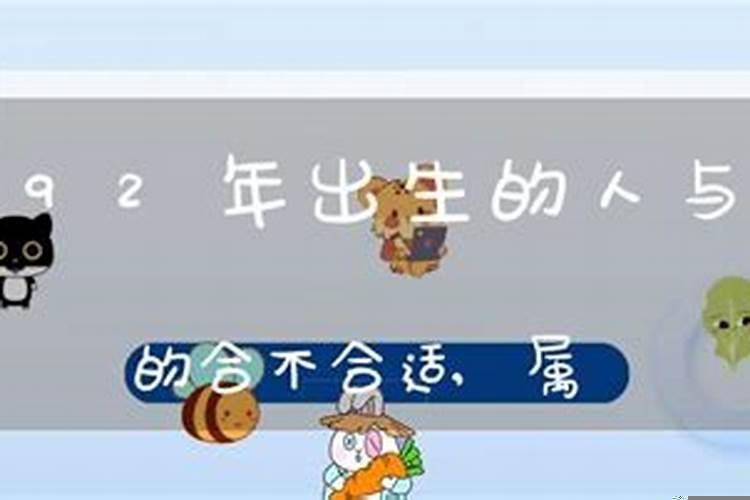 属虎和属兔的合不合婚配