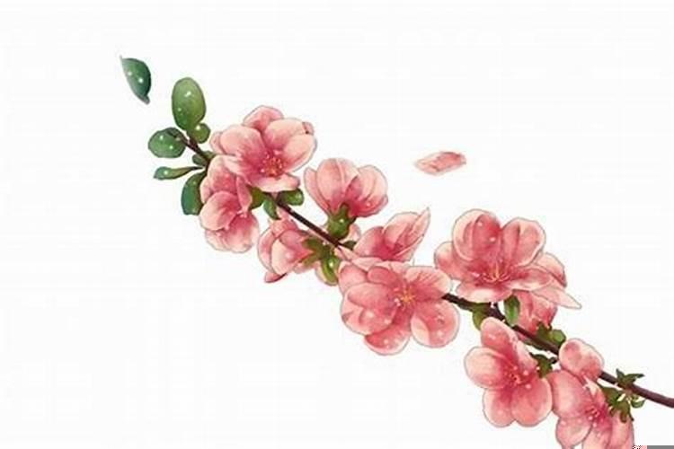 怎么增加桃花运女生