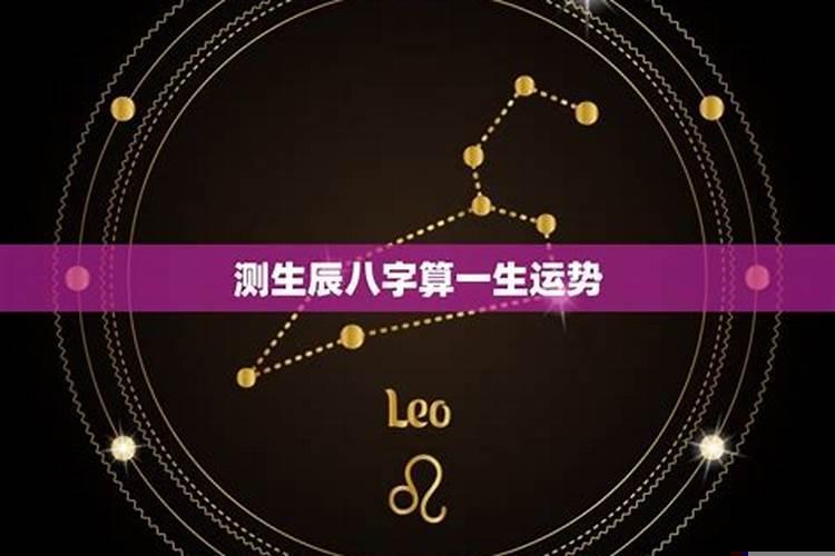 房子的财位应该放什么好