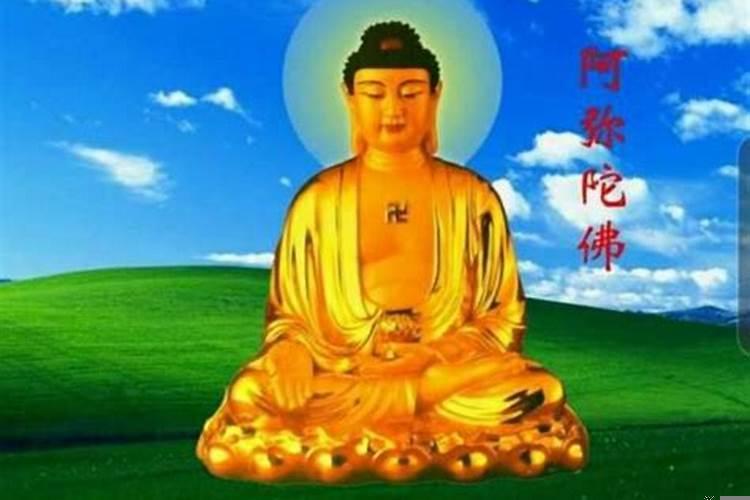 狗男和属猪女结婚好不好