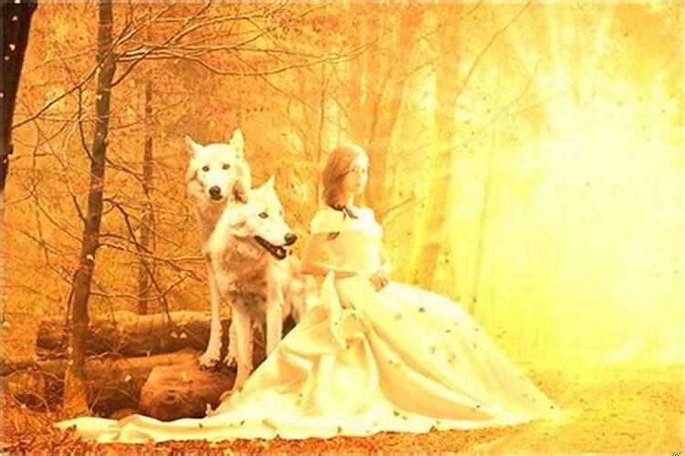 梦见与姐姐吵架什么预兆