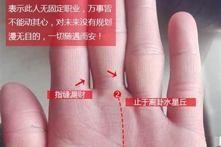 手掌没有事业线代表什么意思