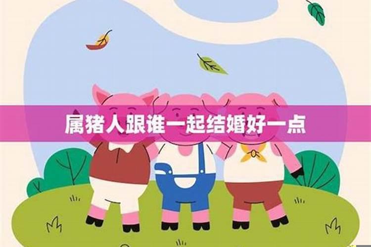 属猪和什么属相最配财运最旺