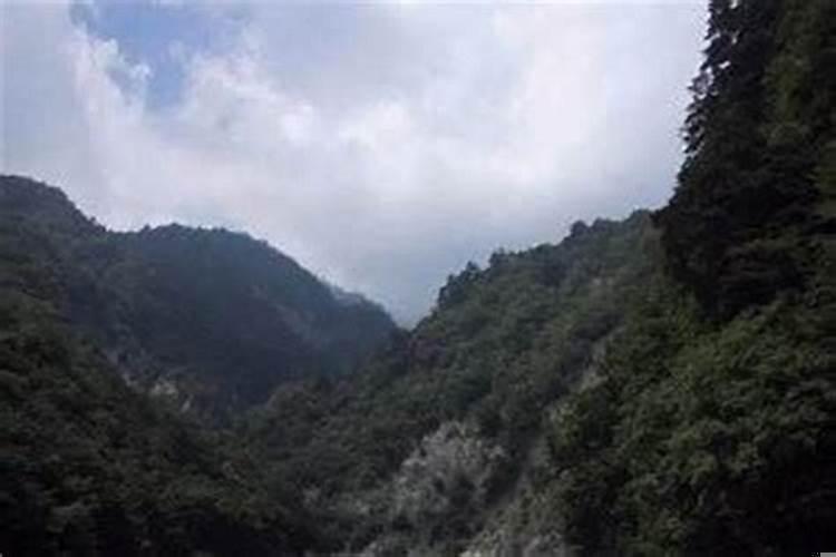 买房是越高越贵吗