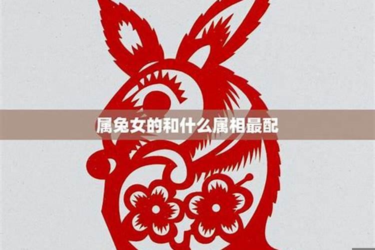 属兔女性和属什么最相配
