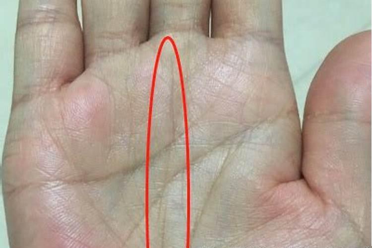 手掌没有事业线代表什么意思