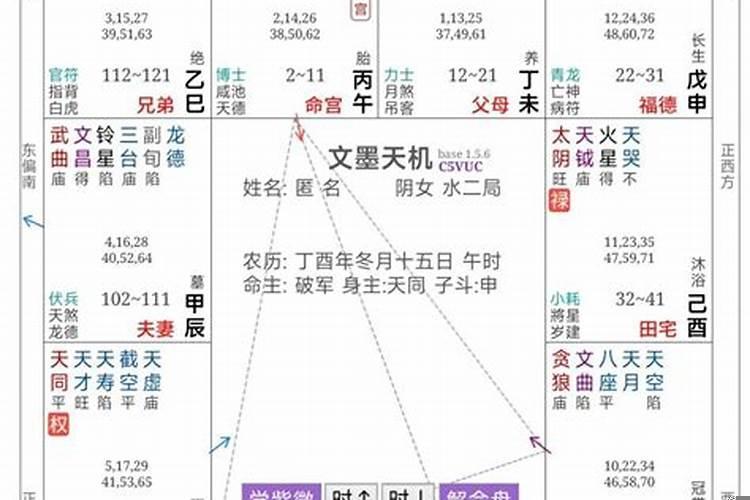 紫微斗数富贵命盘实例