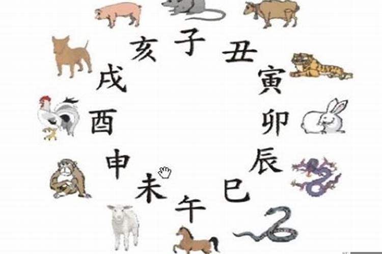 最贪得无厌的生肖打一数字