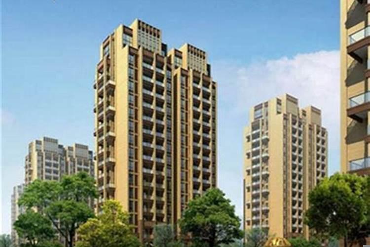 买房的风水注意事项