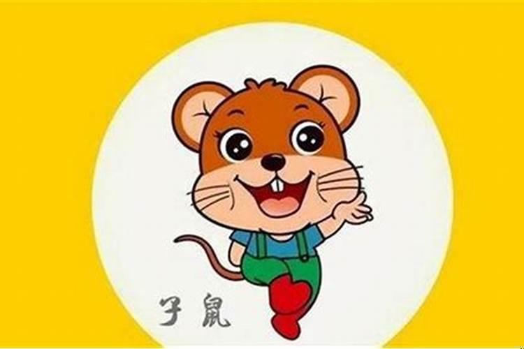 属鼠的人适合做什么事业