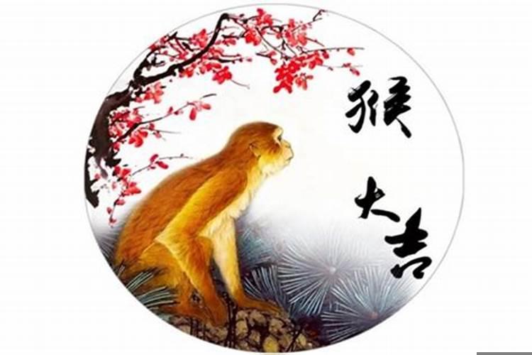 2004年属猴女学业怎么样