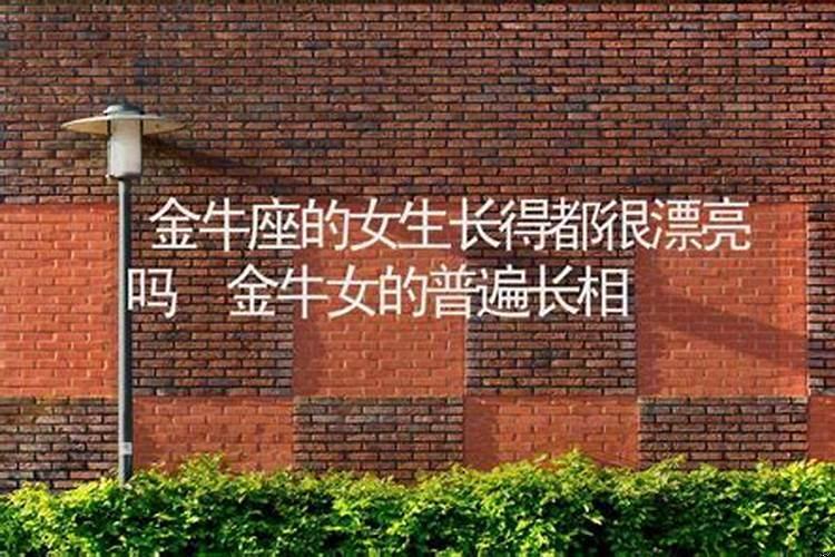 金牛座的女生漂不漂亮