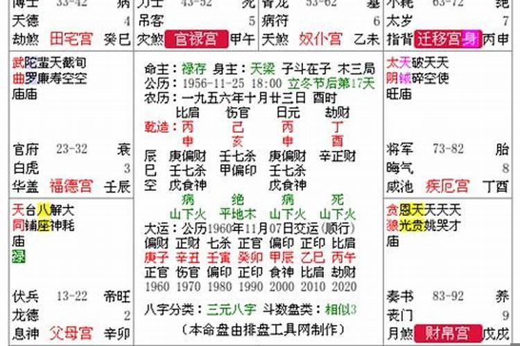 丙戌日柱丁酉时