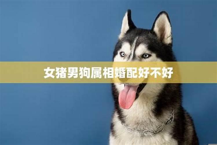 婚姻属相按农历还是阳历