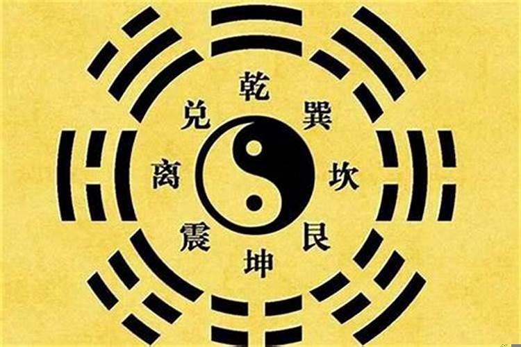 伤官生财财又生官格局