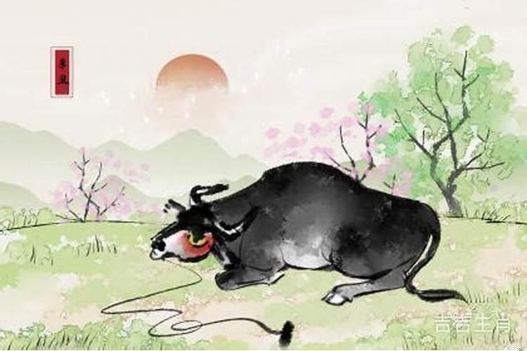 牛属相和龙属相合不合