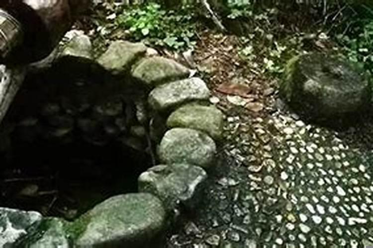 女人梦见井水突然上涨