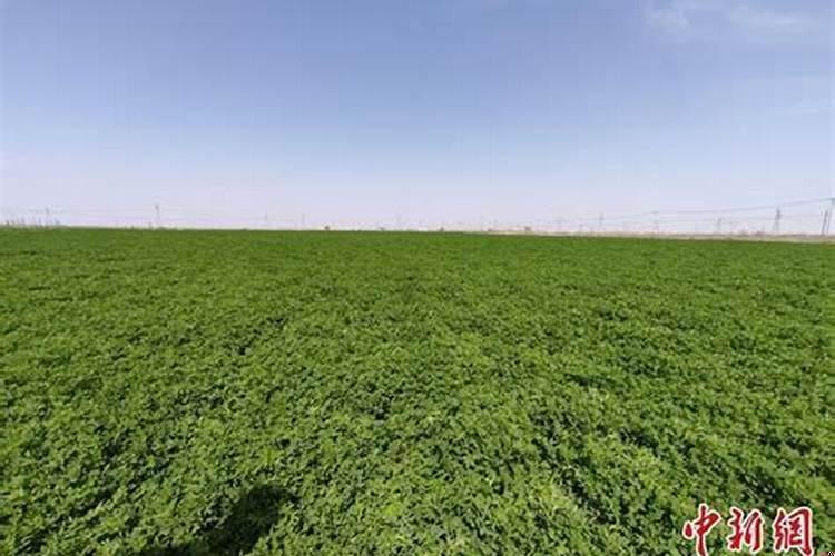 房屋运势不好要如何化解