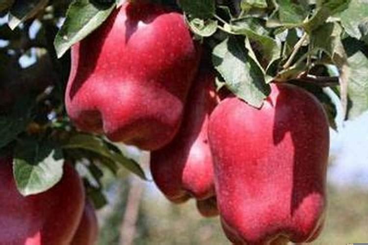 哪天适合搬家黄历